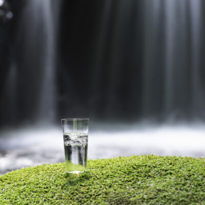 A glass of fresh and cold natural water is put on top of the growing rock of moss in of the valley in Japan.