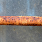 rusty metal pipe